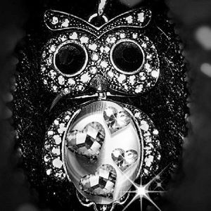 Meet your Posher, Jean